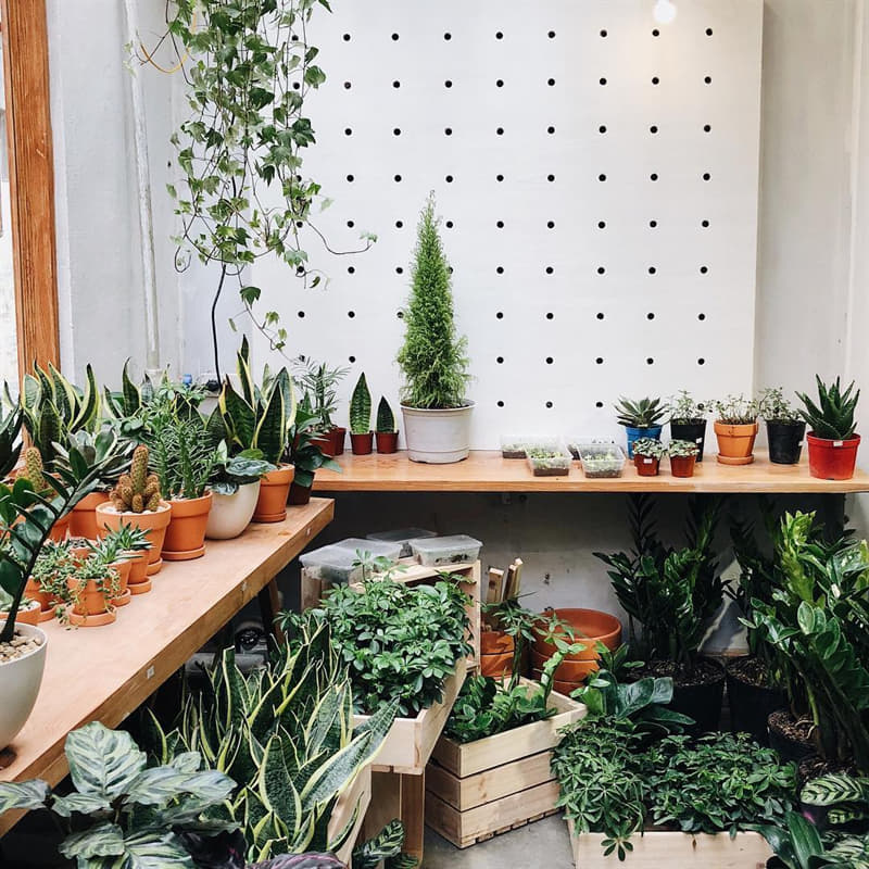 thiet-ke-quan-cafe-khong-gian-xanh-71